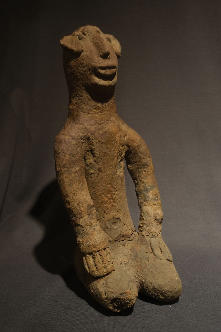 FXE48434african art jungle