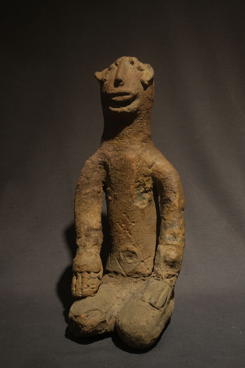 FXE48435african art jungle