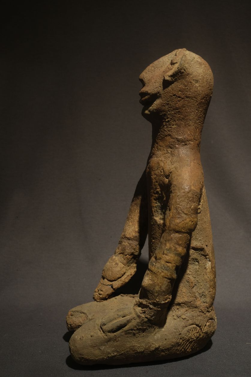 FXE48436african art jungle