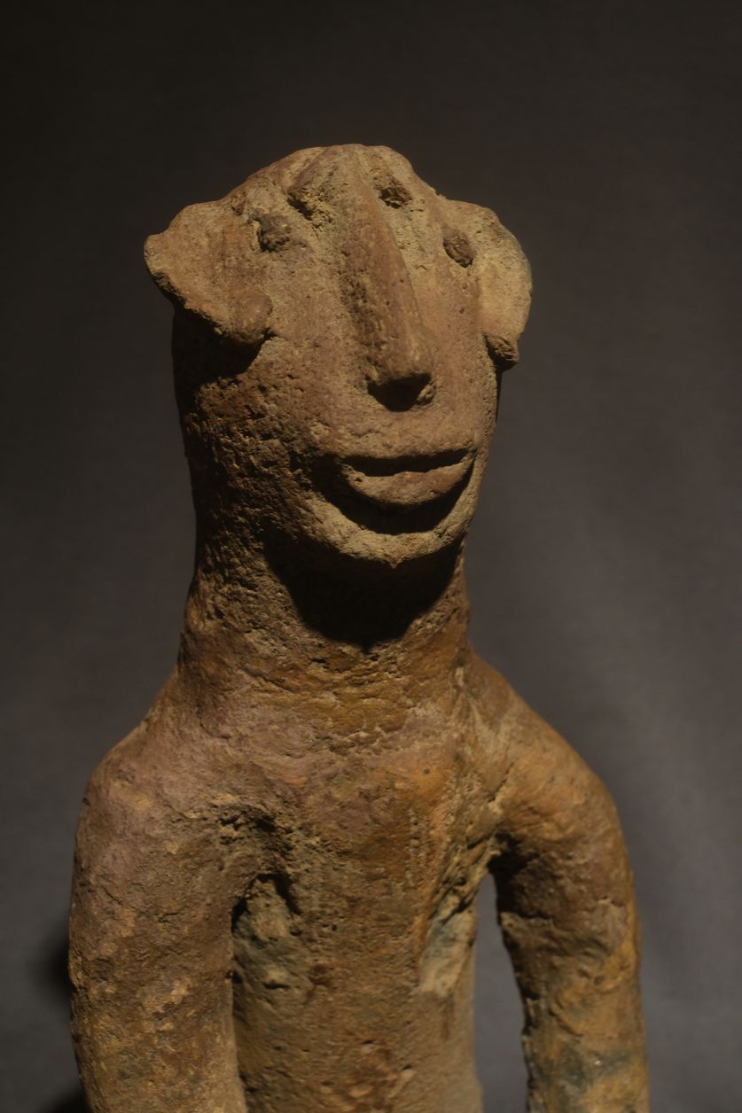 FXE48439african art jungle