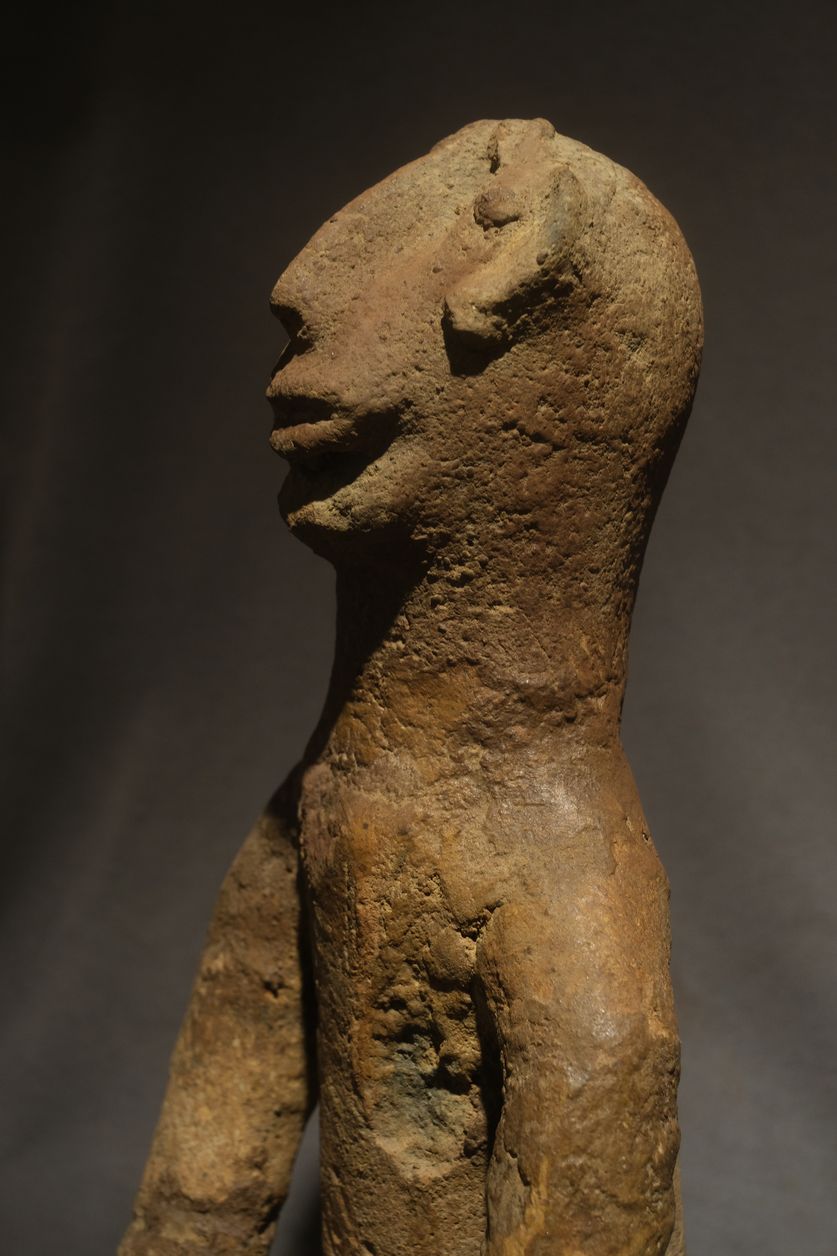 FXE48441african art jungle