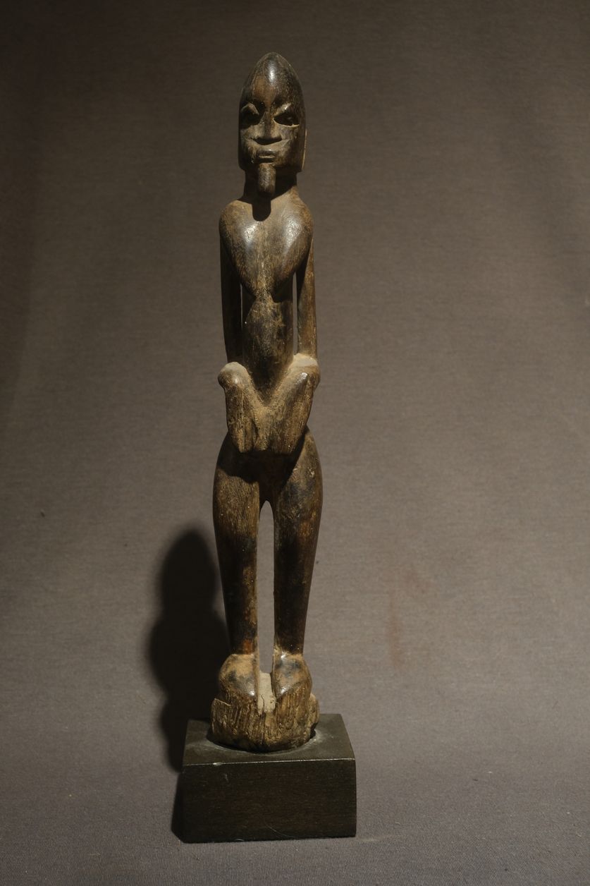 FXE48491african art jungle