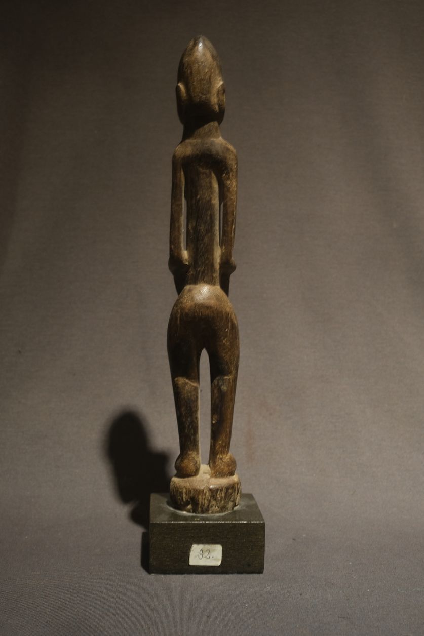 FXE48493african art jungle