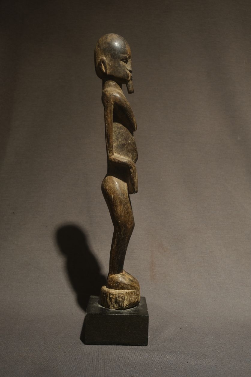 FXE48494african art jungle